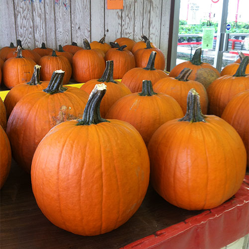 Plenty of pumpkins, mums, gourds, fall vegetables and fall decorations at Tom Strain & Sons Farm Market and Garden Center, 5041 Hill Avenue, Toledo, Ohio