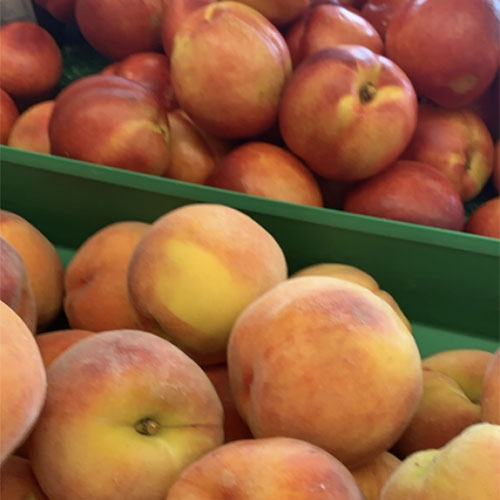 Nectarines — Farm Fresh Fundraising