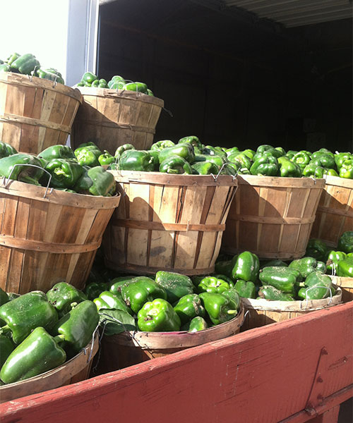 Locally grown fruits and vegetables at Tom Strain & Sons Farm Market and Garden Center, Toledo, Ohio