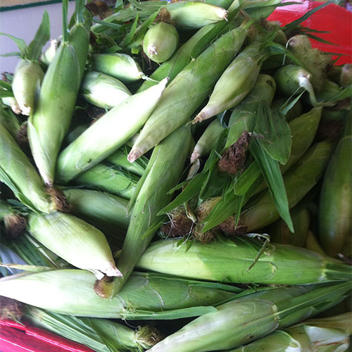 Locally grown, farm fresh produce including apples, green beans, brussel sprouts, tomatoes, sweet corn and more at Tom Strain and Sons in Toledo, Ohio!