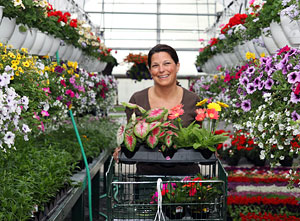 All seasonal plants and flowers, hanging baskets and potted plants, from Tom Strain and Sons Market and Garden Center, Toledo, Ohio. 